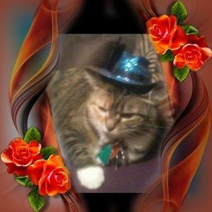 Meet your Posher, Lenora